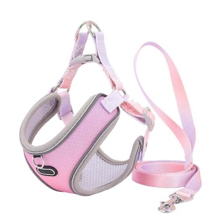 Flugtsikkert Katte Sele Og Line Sæt Justerbar Mesh Hund Sele Vest Hvalp Kæledyr Gåtur Line (b), M