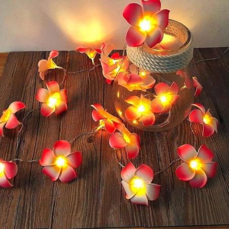 20 LED Blomsterlysstreng Bryllupsguirlande Batteri USB Drevet