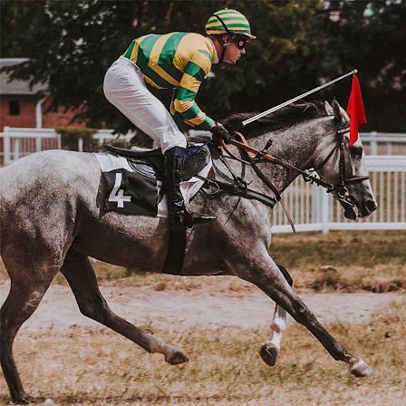 Teleskopisk flagstang og 5 stk. hestetræningsflag, guideflag