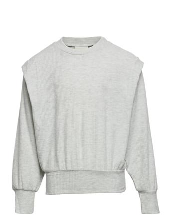 Sweat Sweat-shirt Genser Grå Petit By Sofie Schnoor