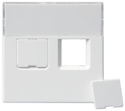 ABB 1819-84 Centrumplatta 2 x RJ45 Vit, Strömbrytare & vägguttag