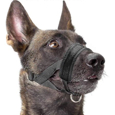 Mjuk Hundnosgrimma i Nylon, Anti-bit, Anti-skäll, Anti-tugg, Justerbar Ring (xl, Svart) New_1