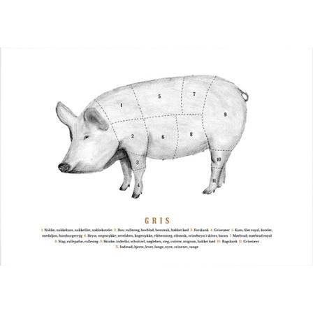 Gehalt Porsaan ruhonosat -juliste, valkoinen