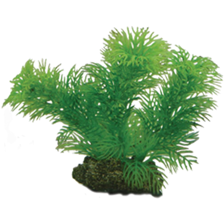 Hobby - Plastplante Egeria 13 cm - Akvaristikk - Akvarie inventar - Kunstige planter - ZOO.no