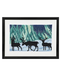 Stickpackung Bild Rentiere in Nordlicht