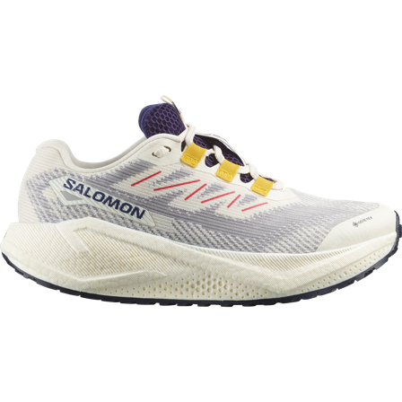 Salomon - Gravel-Laufschuhe Schuhe Aero Blaze 3 Grvl Gtx W - Vanilla Ice Astral Aura - 42⅔
