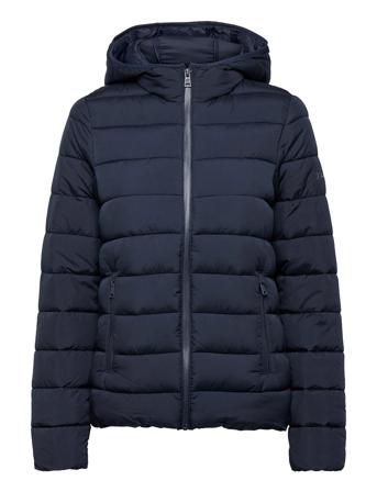Hooded Polyfilled Jacket Blue Champion