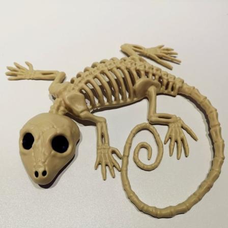 Halloween Bevegelig Skjelett Dyr Fake Skjelett GECKO GECKO gecko