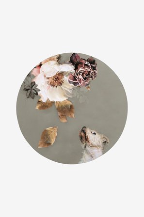 Malerifabrikken - Billede Pet Couture 2 - Flerfarvet - Billeder - Fra Homeroom