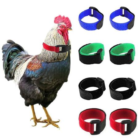 Kyllingekrave Blød Tekstur Anti-hanegalende Justerbar Anti-krog Hane Krave Fjerkræ Tilbehør 2PCS Green