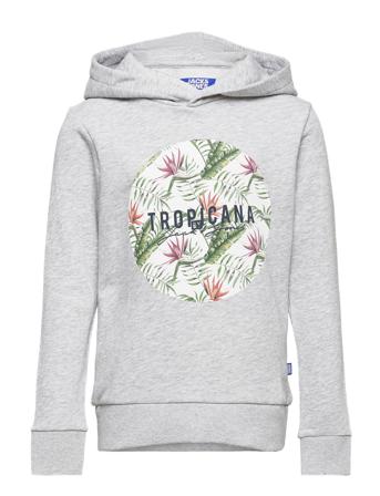 Jjcoastal Shape Sweat Hood Jr Grey Jack & J S