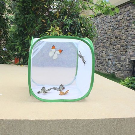 Kannettava perhoshäkki hyönteisten kasvatuskehikko