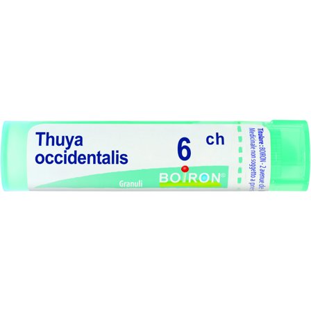 Boiron Thuya Occidentalis Granuli 06Ch Tubo 4g