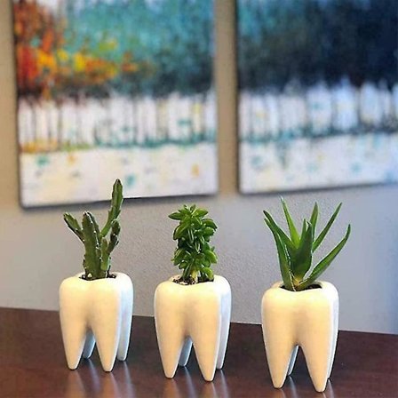 Tandformad blomkruka i keramik, blomkruka, växtkruka, suckulentblomma