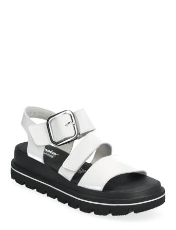 W1650-80 White Rieker