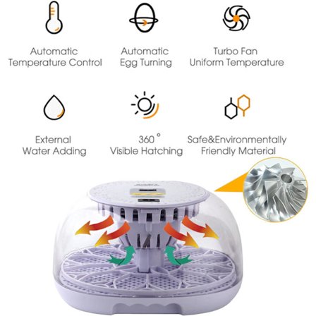 Automatisk egginkubator for kyllinger 12 egg Fjærkreinkubator for ender gjess vaktler Automatisk vannpåfylling 360 graders visning-XS2-