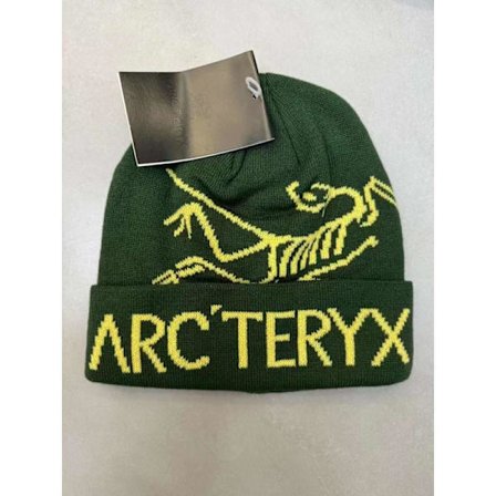 ARC'TERYX Herre Lue Casual Varm Vinterlue Skilue Fugl Jacquard Grønn