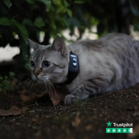 Katt GPS | MiniFinder Atto