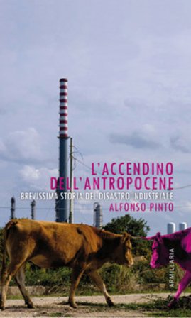 L'accendino dell'Antropocene. Brevissima storia del disastro industriale Alfonso Pinto