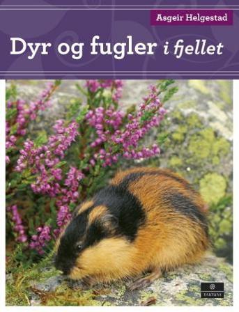 Dyr og fugler i fjellet - Bok av Asgeir Helgestad - Hardback