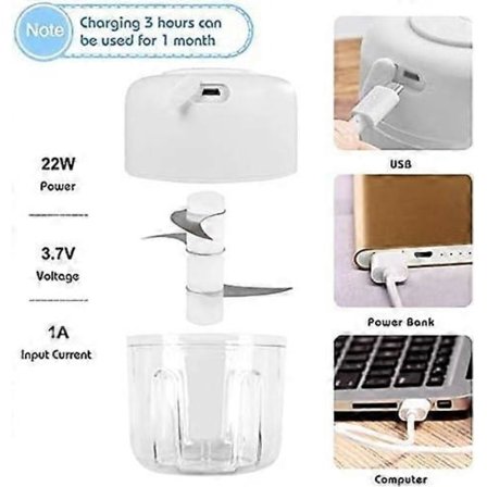 Mini Sähkösilppuri, 250ML Mini Sekoitin Lihasilppuri, Sähköinen Porkkanaraastin Vihannesleikkuri Multi
