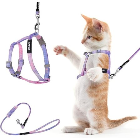 Justerbar Gradient Killingesele | Flugtsikker Sele med Snor til Udendørs Gåture med Kat | Maskinvaskbar[D]