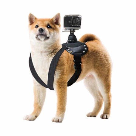 GoPro Dogsele Brystbælte til Dog Vest POV Mount Action Camera
