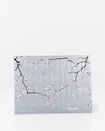 Der Adventskalender des Jahres