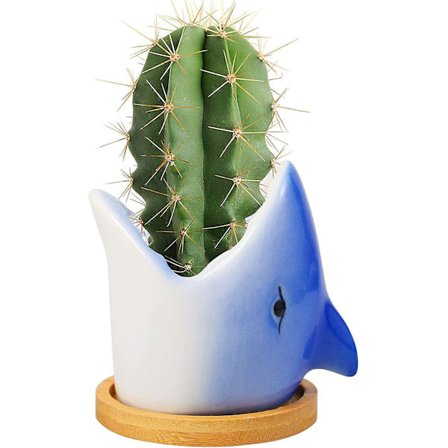 Keramisk plantepotte innendørs - hai