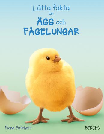 Lätta fakta om ägg och fågelungar - Bok av Fiona Patchett - Inbunden