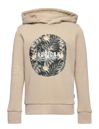 Jjcoastal Shape Sweat Hood Jr Brown Jack & J S