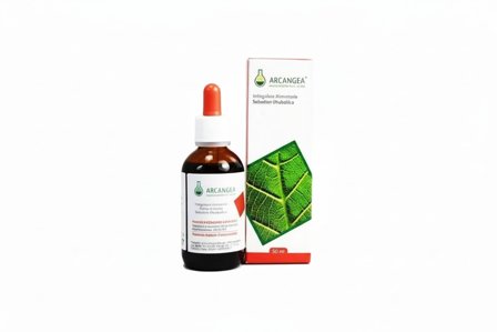 Arcangea Finocchio Marino Soluzione Idroalcolica Gocce 50ml