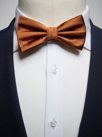 John Henric Men's Terrakotta Fliege Size Pre-tied