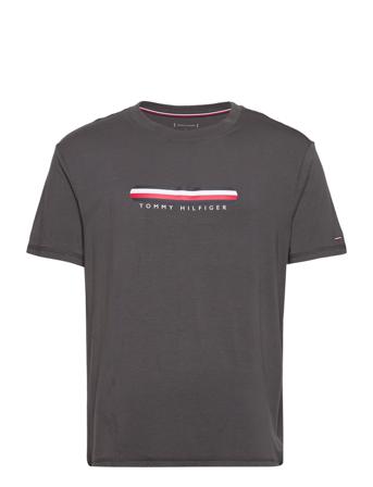 Cn Ss Tee T-shirts Short-sleeved Grå Tommy Hilfiger