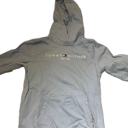 tommy hilfiger hoodie