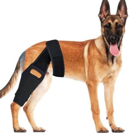 Knæstøtte til hunde til støtte for ACL, CCL og MCL M