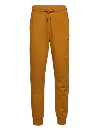 M Nse Pant Collegehousut Olohousut Keltainen The North Face