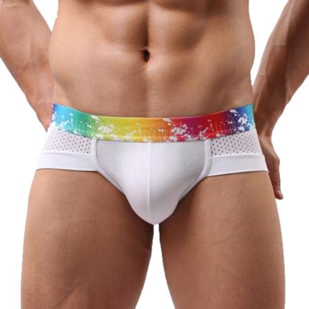 Andningsbara Underkläder För Män U Convex Pouch Low Waist Modal Mesh
