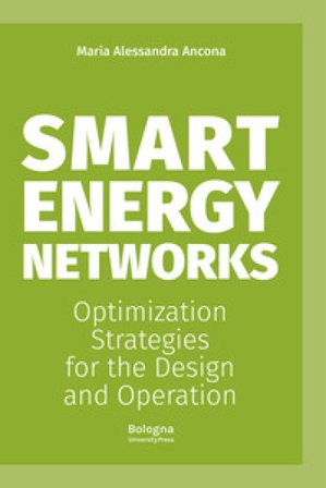Smart energy networks. Optimization strategies for the design and operation Maria Alessandra Ancona