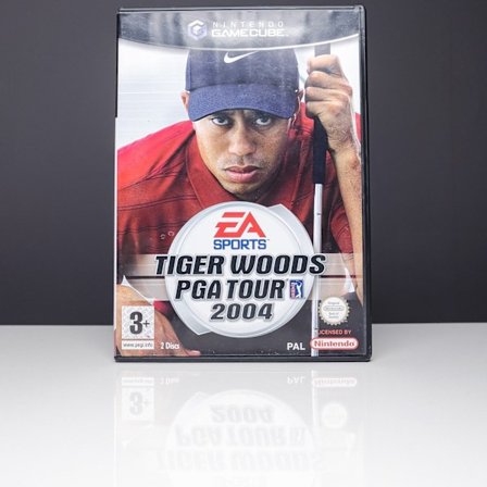 Tiger Woods PGA Golf 2004