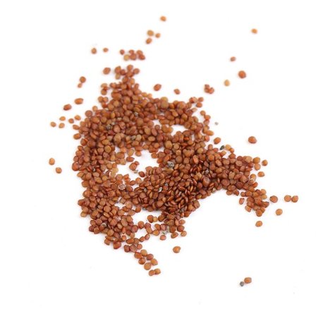 Akvarium Vandplanter Græsfrø Dekoration Landskabspynt (Små Blade)