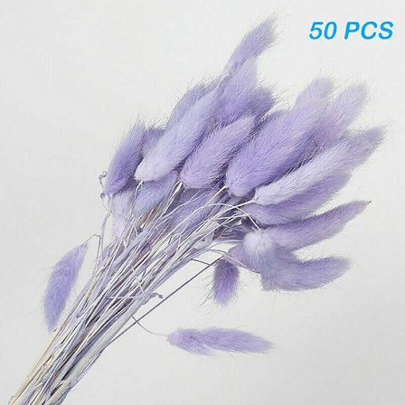 50 stk. Harehalegræs Kaninhaler Tørrede Blomster Lagurus Ovatus Plantestængler