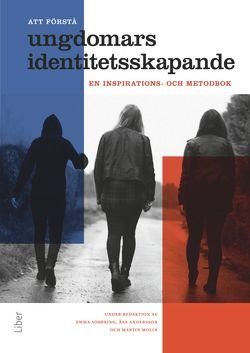 Att förstå ungdomars identitetsskapande : en inspirations- och metodbok, ISBN: 9789147098330