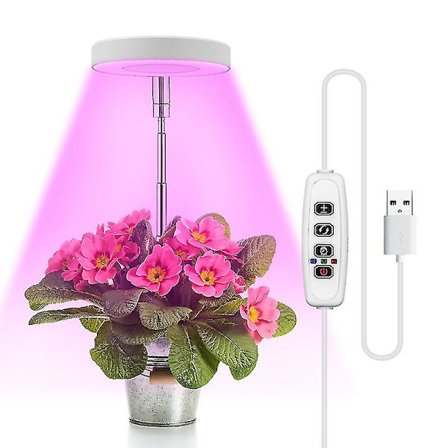 LED-kasvilampun täyspektrinen sisätilojen enkelirenkaallinen kasvilampun kotisukkulenttien kukkien istutuslampun 5v