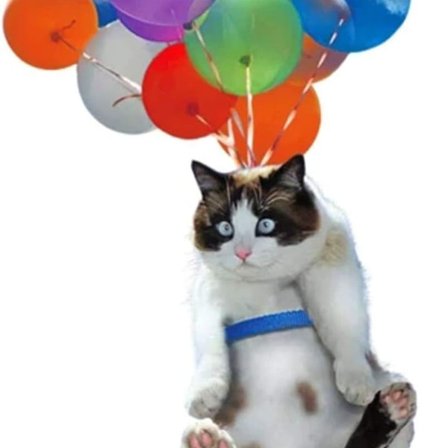 Kattebil hængende pynt med farverige balloner, kreativ bilvedhæng interiør KLB