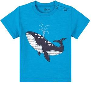 Hatley Blue Danube Whale Baby T-Shirt 9-12 Months - Tops - 9-12 months - Blue - Junge