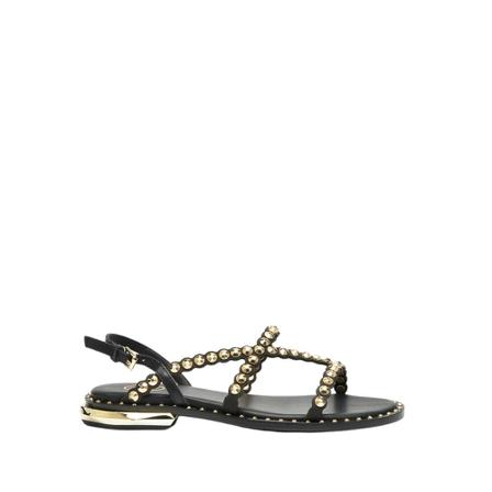 Ash - Sandaler - Svart - Dam - Storlek: 35 Eu, Dam, Storlek: 35 EU