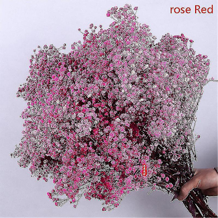 Natural Fresh Dried Flowers Gypsophila Bouquet Wedding Home Decoration-XF5-