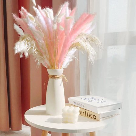 Naturlig tørret Pampas dekoration, tørret buket Pampas græs dekoration