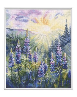 Stickpackung Bild Lupinen in Sonnenlicht